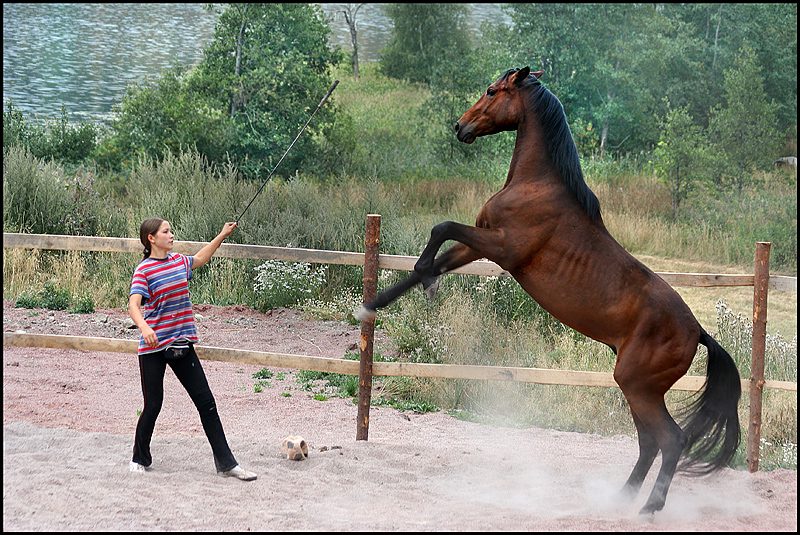 photo "Упражнения (Morning exercises)" tags: nature, pets/farm animals