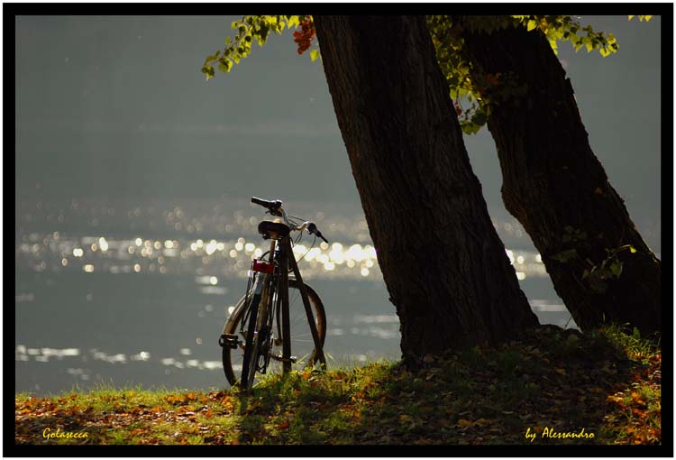 photo "golasecca" tags: landscape, water