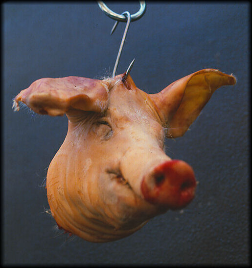 photo "This little piggy.....went to market." tags: reporting, humor, 