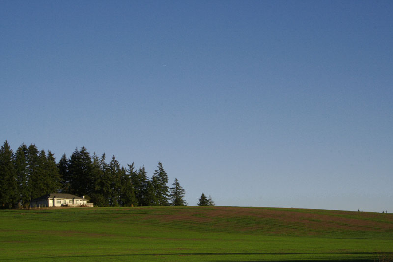 фото "House on green 2" метки: пейзаж, путешествия, Северная Америка, осень