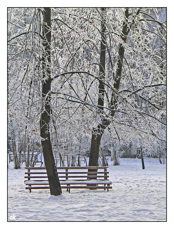 photo "Winter Park" tags: landscape, winter