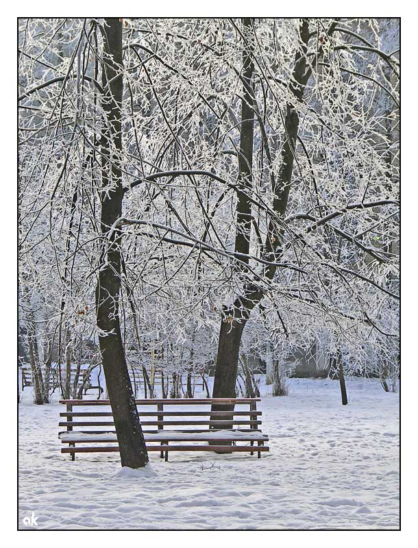 фото "Зимний парк" метки: пейзаж, зима