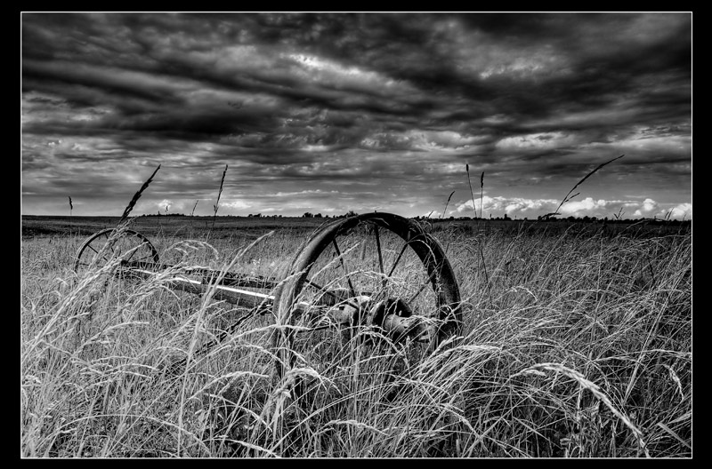 photo "***" tags: landscape, summer