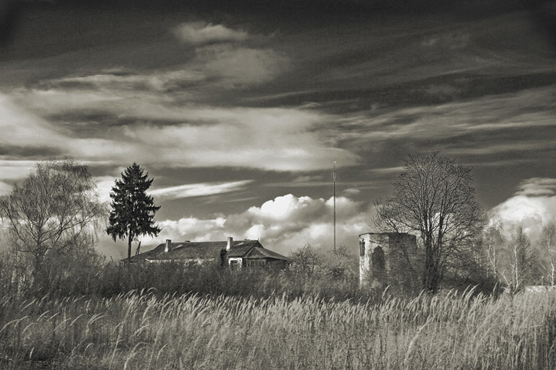 photo "***" tags: landscape, black&white, autumn