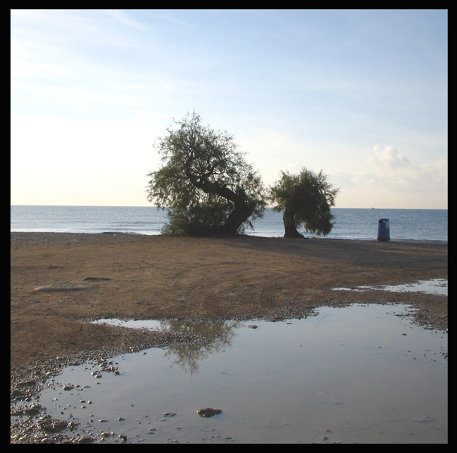photo "Tamarius Torres" tags: landscape, 