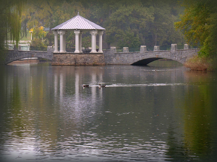 photo "Duck stories ;)" tags: landscape, autumn, water