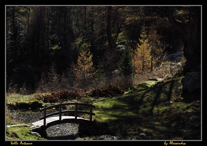 photo "autumn valle antrona" tags: landscape, mountains