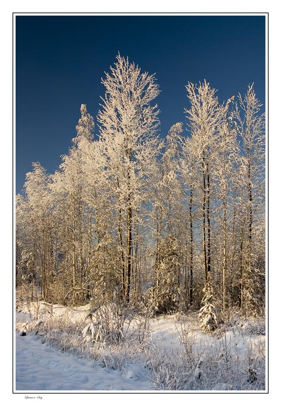 photo "***" tags: landscape, winter