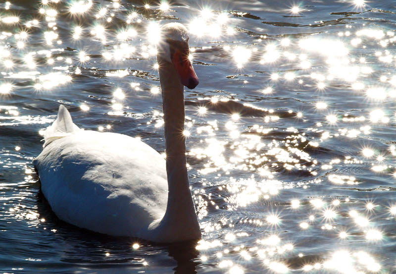 photo "Sunbeam" tags: landscape, water
