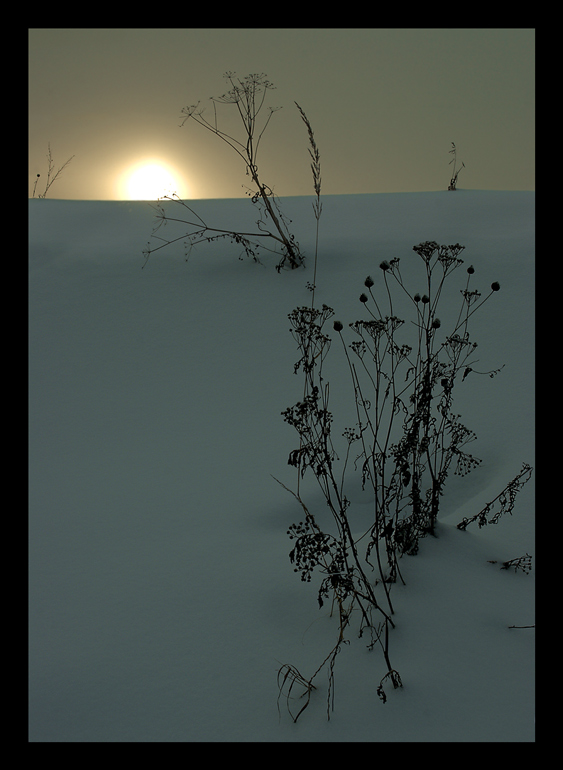 photo "Behind of a hill..." tags: landscape, winter