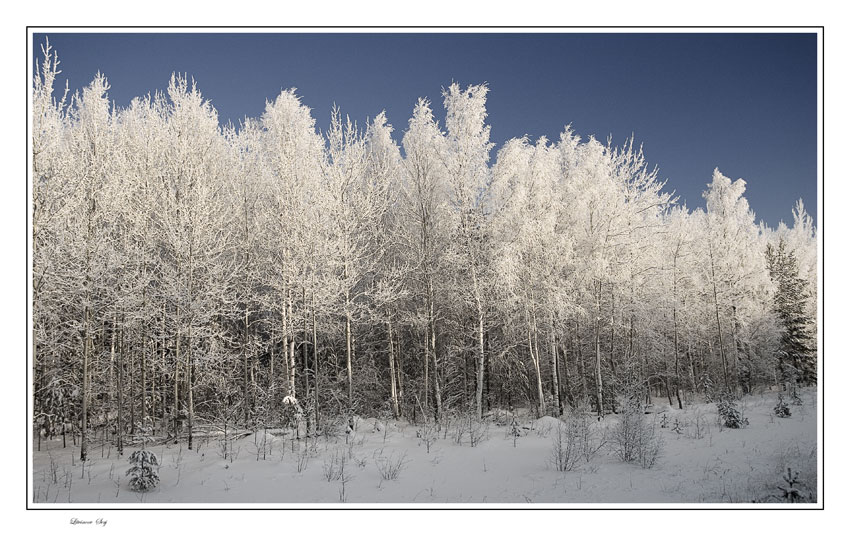 фото "Winter sketches..." метки: пейзаж, зима