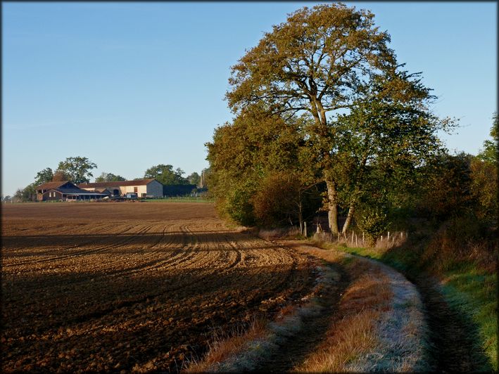 photo "sunny morning" tags: landscape, autumn