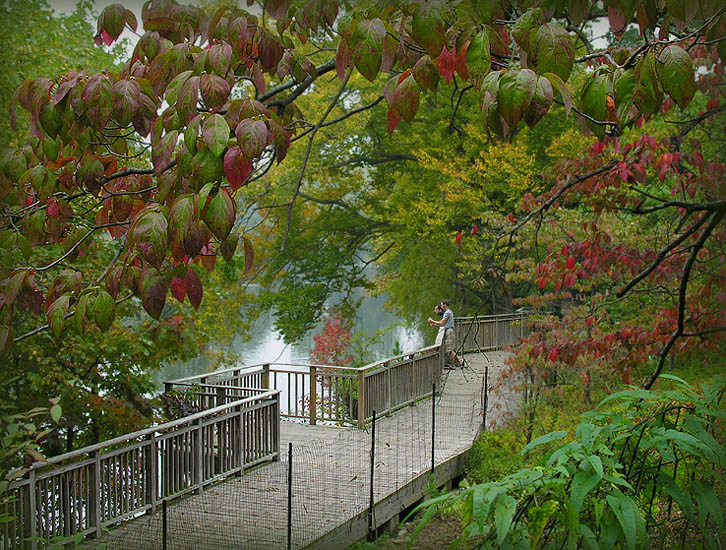 photo "An autumn chord..." tags: landscape, 