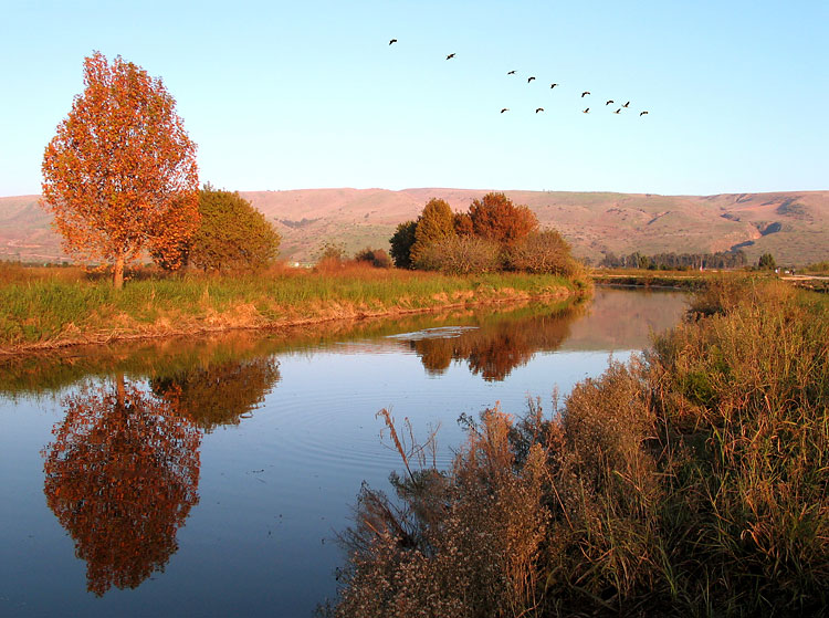 photo "golden autumn" tags: nature, landscape, autumn, wild animals