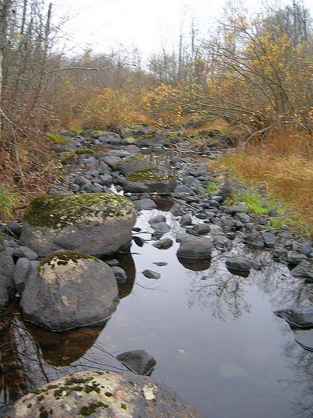 photo "Stones" tags: landscape, water