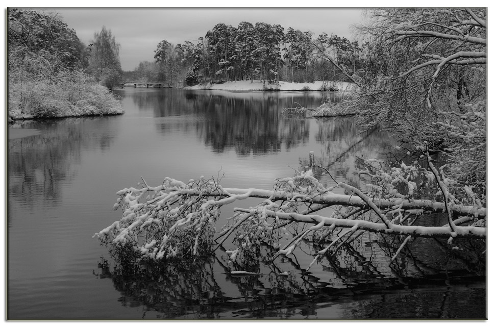 photo "Tree 2" tags: landscape, water, winter