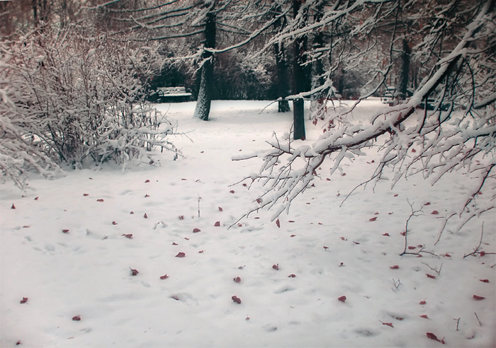 photo "belated-landing" tags: landscape, winter