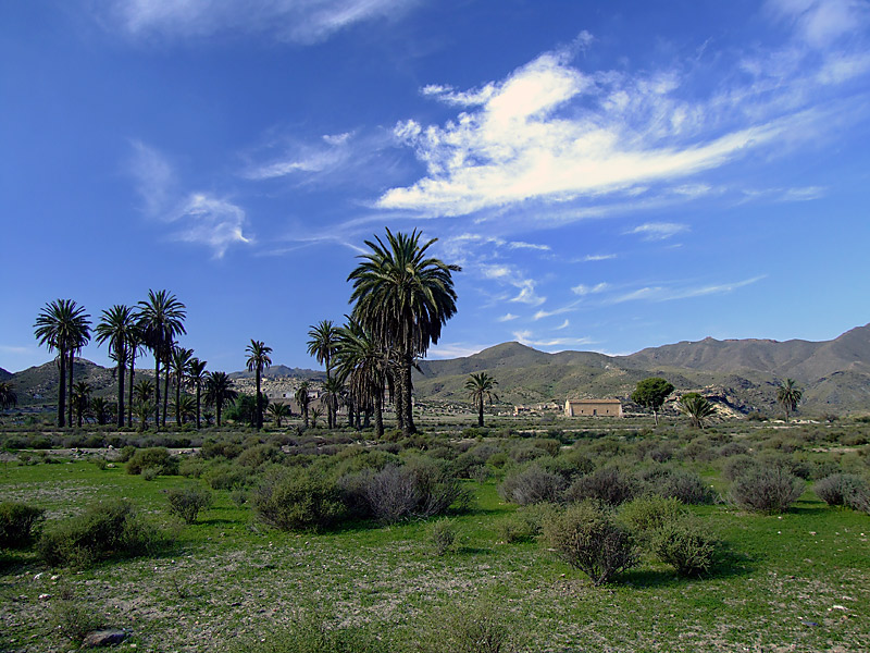 photo "Desert of Cabo de Gata 2" tags: landscape, forest, mountains