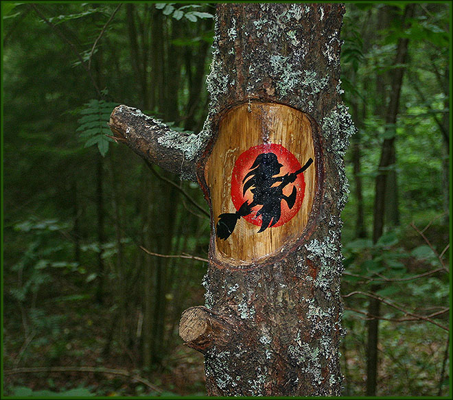 photo "Beware Of The Witch" tags: travel, landscape, Europe, forest
