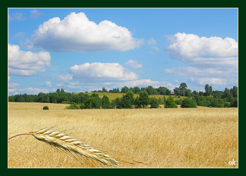 photo "Russian View" tags: landscape, travel, Europe, summer