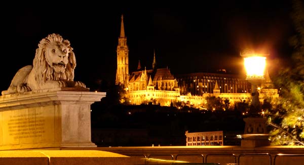 photo "lion" tags: architecture, landscape, night