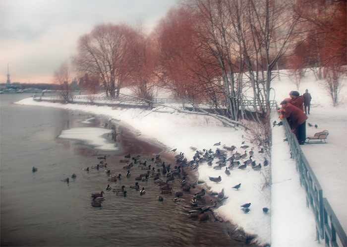 photo "on-the-different-parties" tags: landscape, winter