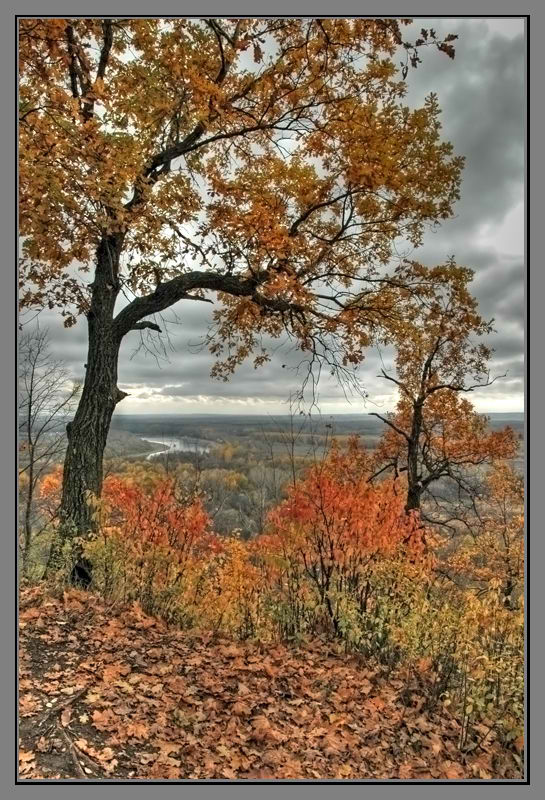 photo "***" tags: landscape, autumn