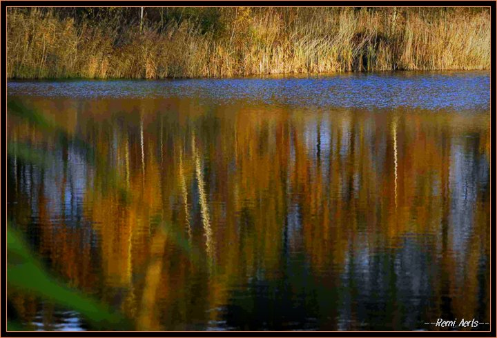 photo "autumn nov.2006" tags: landscape, autumn, water