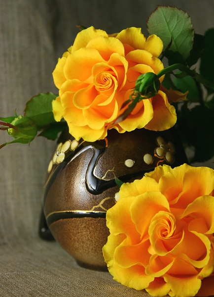 фото "желтые розы" метки: натюрморт, природа, цветы