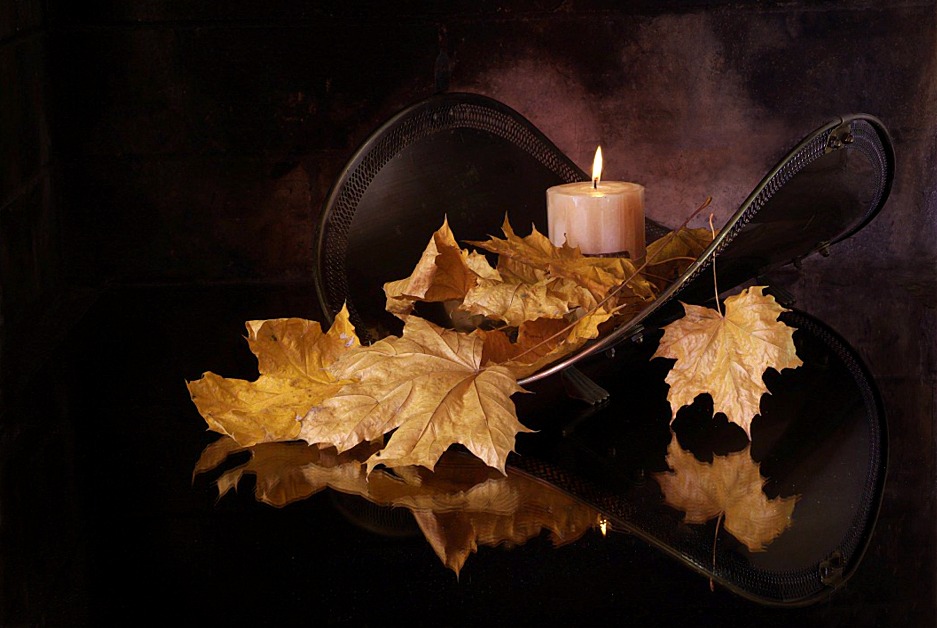 photo "Dry leafs" tags: still life, 