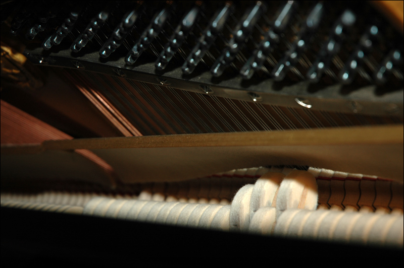 photo "Playing Piano" tags: macro and close-up, abstract, 