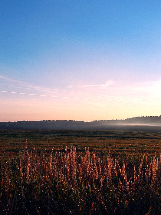 photo "***" tags: landscape, autumn