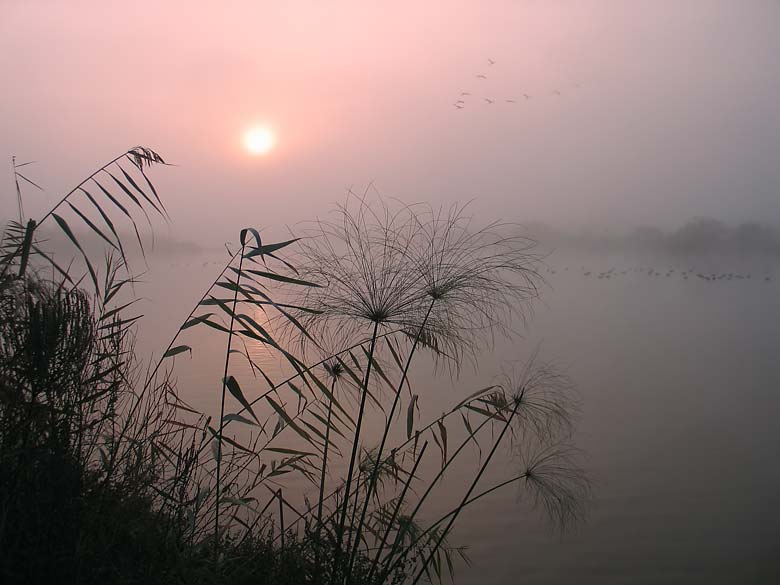 photo "sunrise" tags: landscape, nature, 