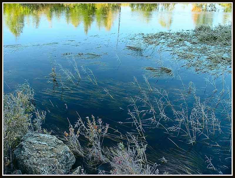 photo "Hoarfrost" tags: landscape, water
