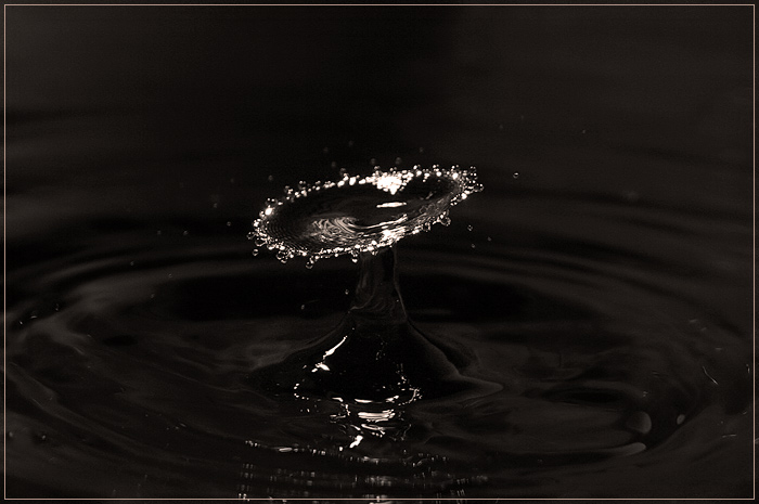 photo "Black water" tags: macro and close-up, still life, 