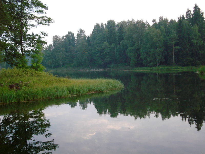 photo "***" tags: landscape, forest, water