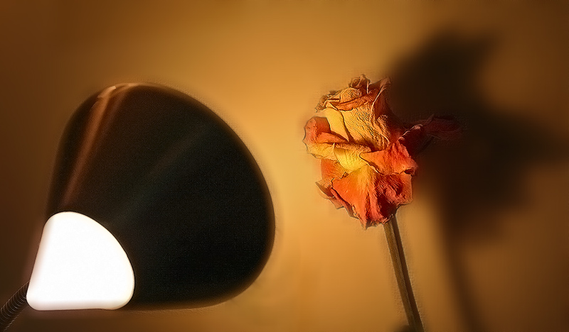 photo "Spotlight" tags: still life, abstract, 