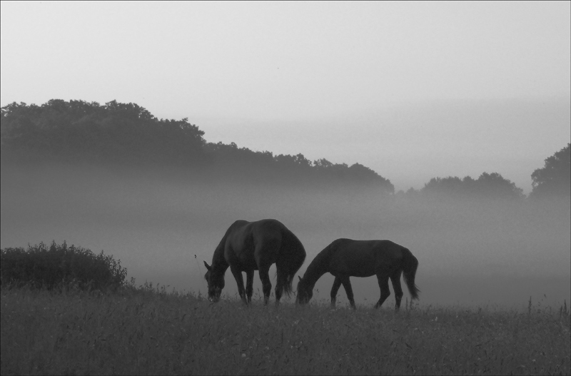 photo "***" tags: landscape, nature, 