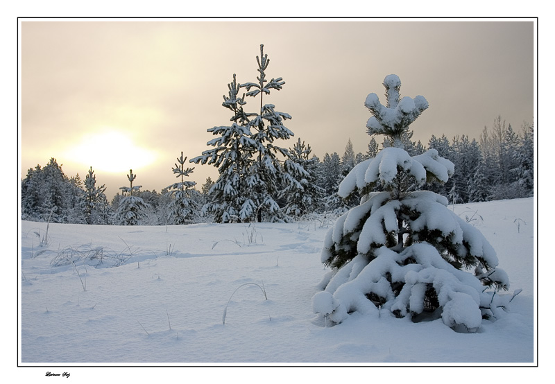 фото "Winter sketches..." метки: пейзаж, зима