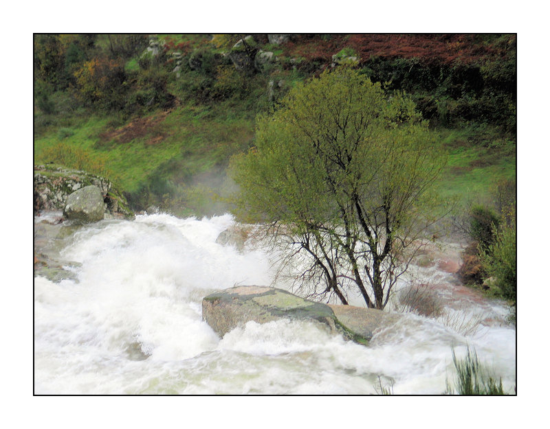 фото "Avalanche agua" метки: пейзаж, вода