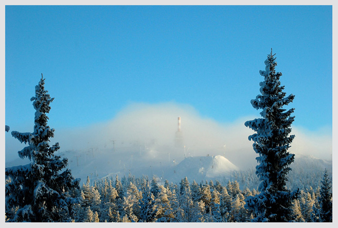 фото "Through the fog" метки: пейзаж, зима, лес