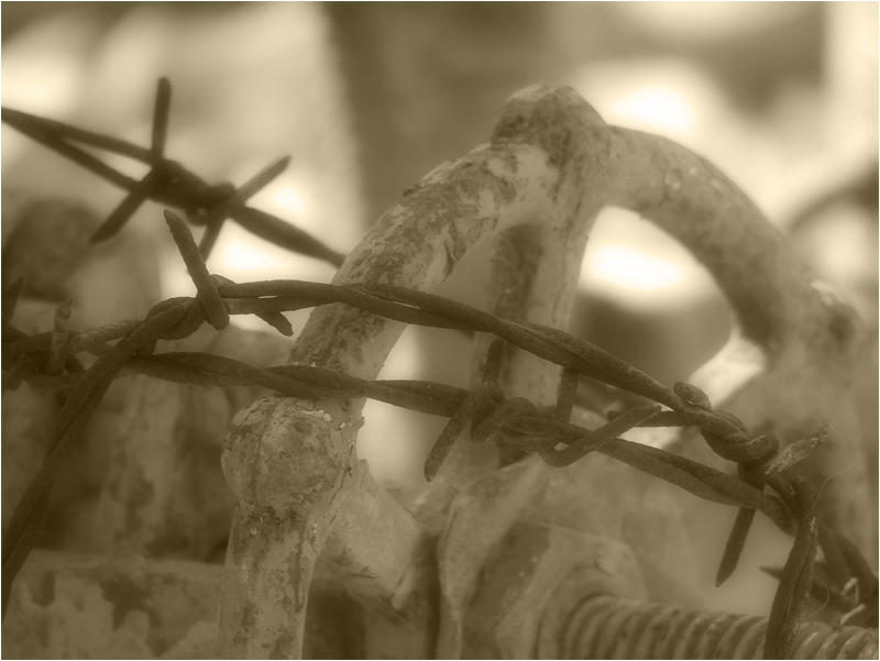 photo "Drought." tags: genre, reporting, 