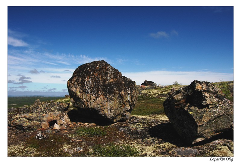 photo "Tundra of the Kola peninsula" tags: travel, nature, 