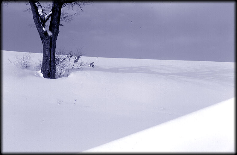 фото "Winterlandscape" метки: пейзаж, черно-белые, зима