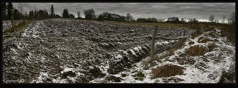 photo "Vegetable garden" tags: landscape, winter