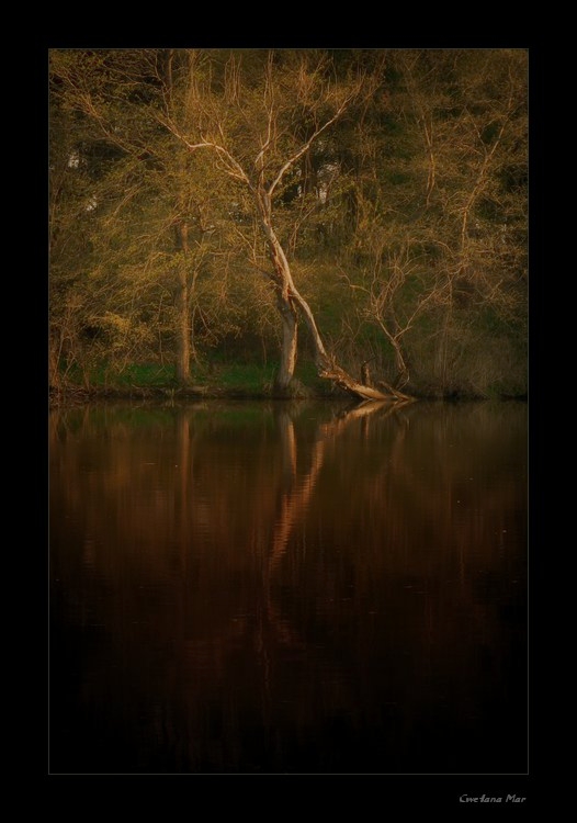 photo "Shadows in paradise" tags: landscape, 