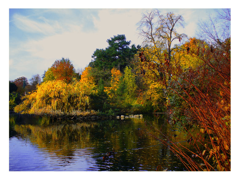 photo "Autumn lake" tags: nature, landscape, 