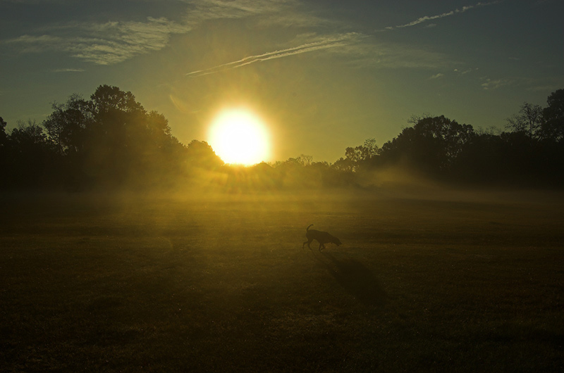 photo "Sunrise" tags: landscape, autumn, sunset