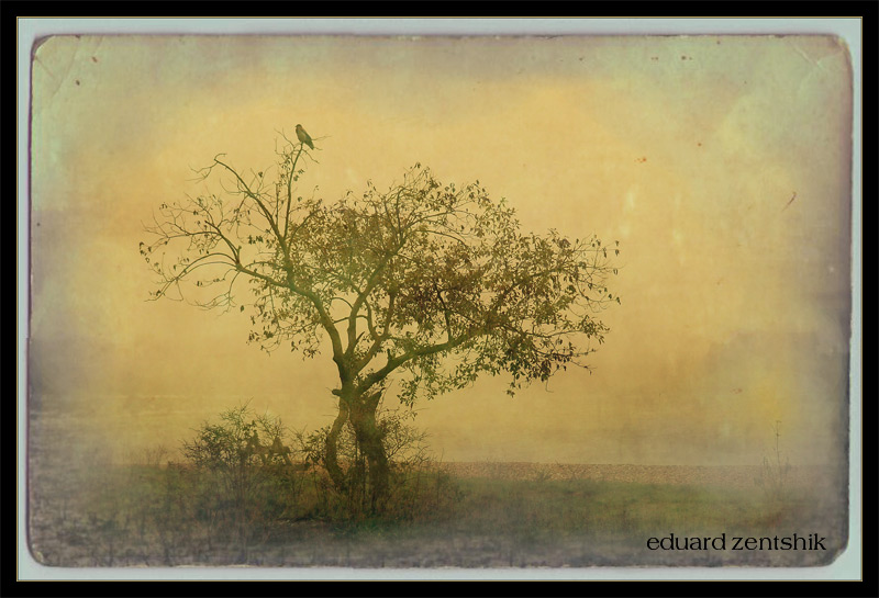 фото "***" метки: , 