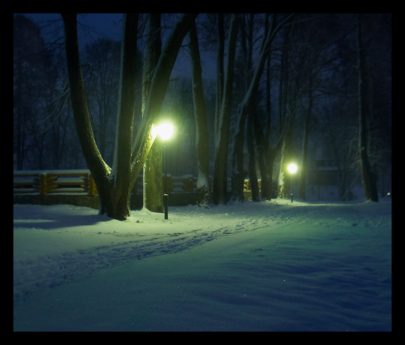 photo "First snow" tags: landscape, night, winter